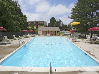 Swimming pool with lounge chairs